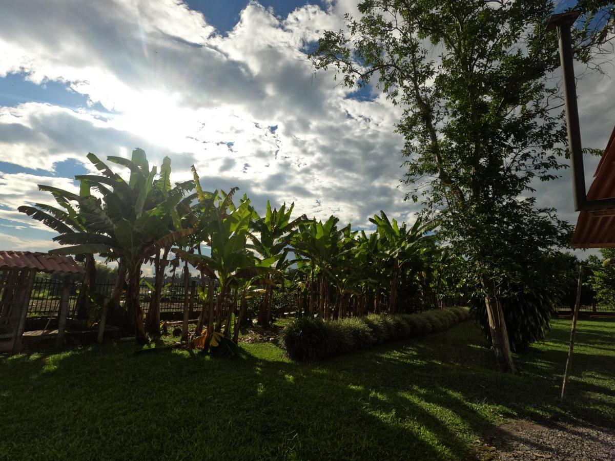 Finca Hotel Estrella Del Eden El Socorro エクステリア 写真
